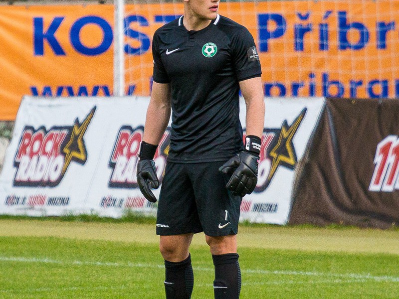 Martin Melichar