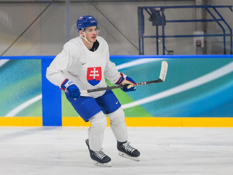Radostná správa pre hokejovú verejnosť: Cehlárik sa vracia do extraligy, ako dlho to potrvá?