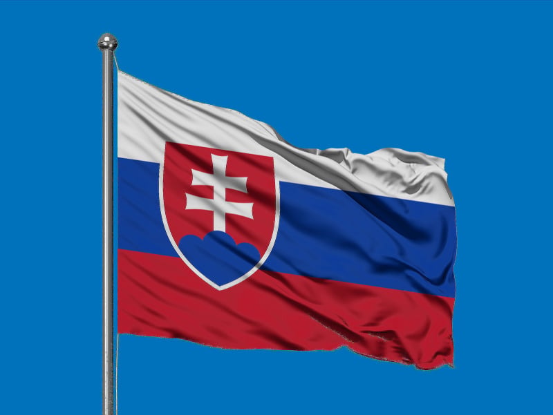 Do finále bolo blízko i ďaleko: Slovenskí reprezentanti odohrali semifinále s Českom