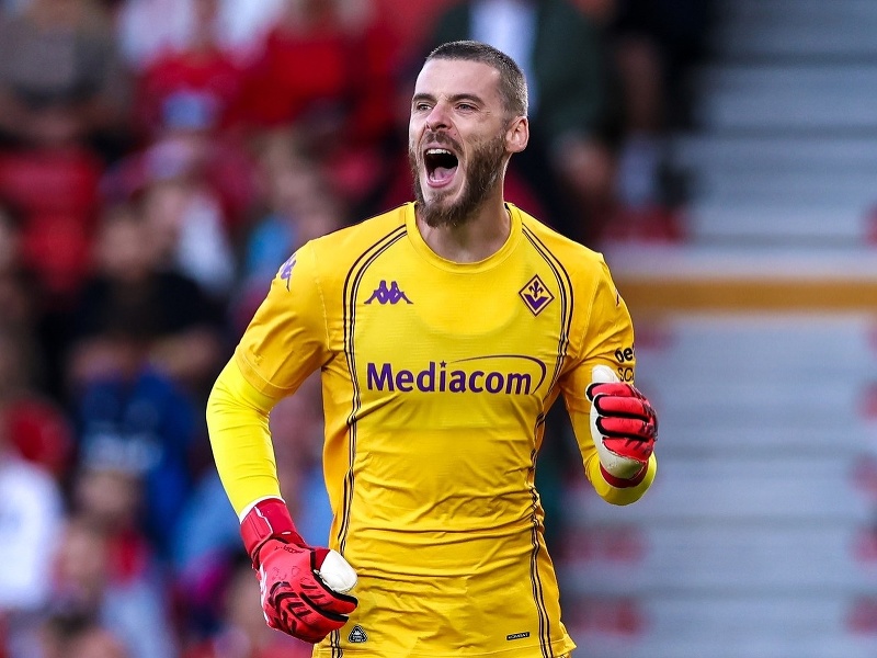 Španielsky brankár David de Gea
