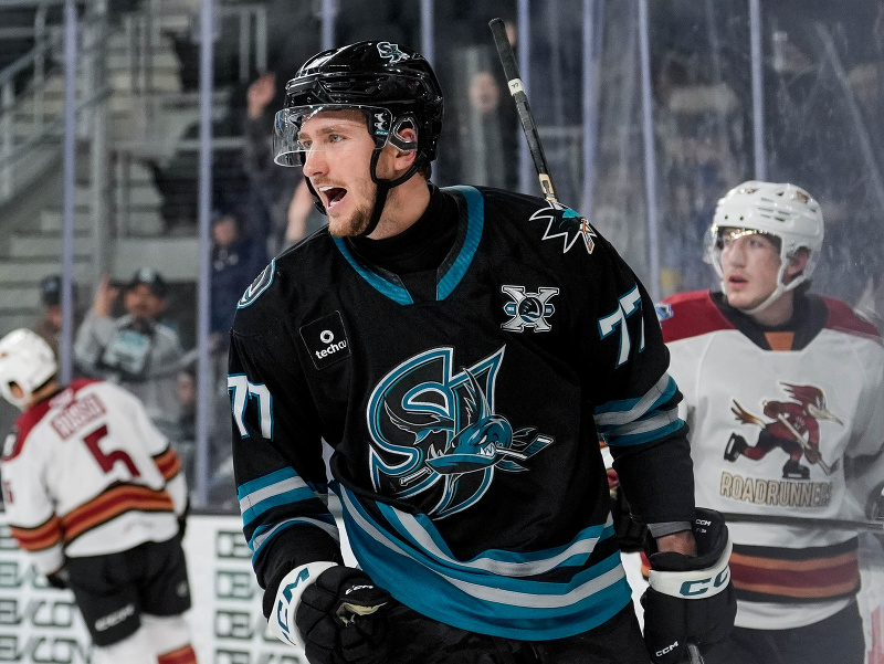 Slovenský hokejista Pavol Regenda v drese San Jose Barracuda v AHL
