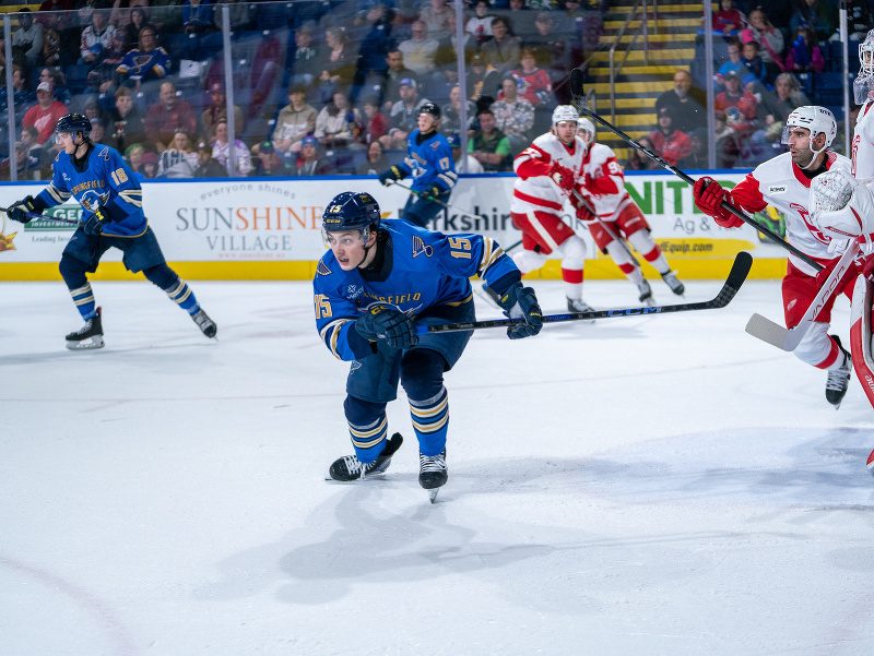 Dalibor Dvorský v drese Springfield Thunderbirds