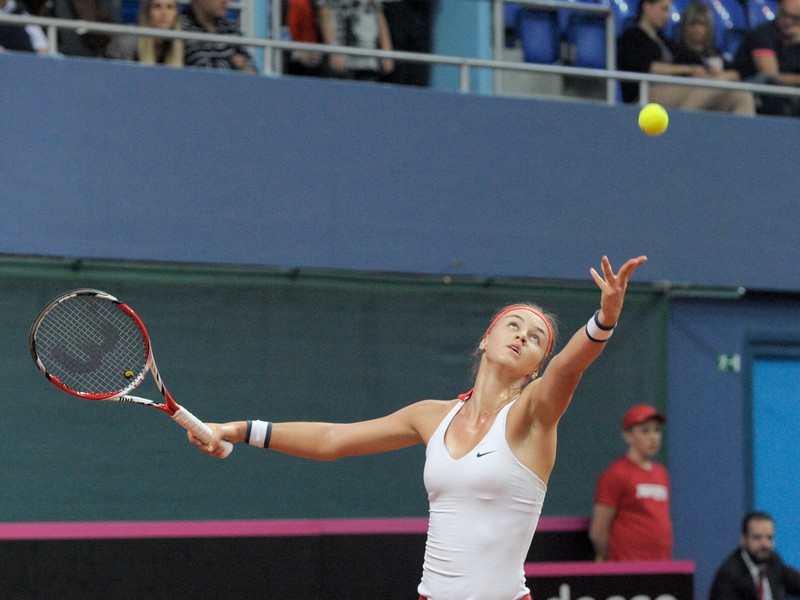Anna Karolína Schmiedlová