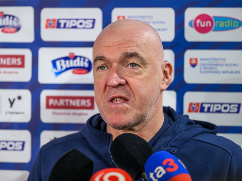 Na snímke tréner slovenskej basketbalovej reprezentácie mužov Aramis Naglič počas brífingu s novinármi