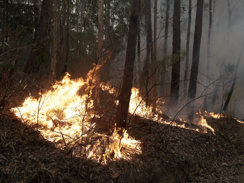 Austráliu trápia masívne požiare