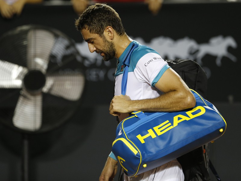 Marin Čilič