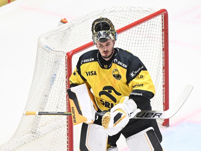 Slovenský brankár HC Verva Litvínov Matej Tomek