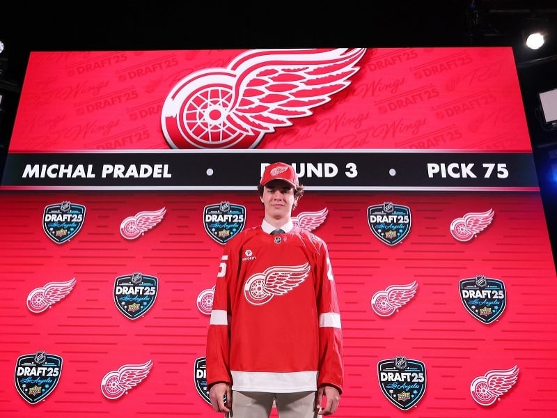 Slovenský brankár Michal Prádel sa stal prvým slovenským hokejistom na tohtoročnom drafte NHL v Los Angeles, keď si ho v 3. kole z celkového 75. miesta vybral Detroit Red Wings. 