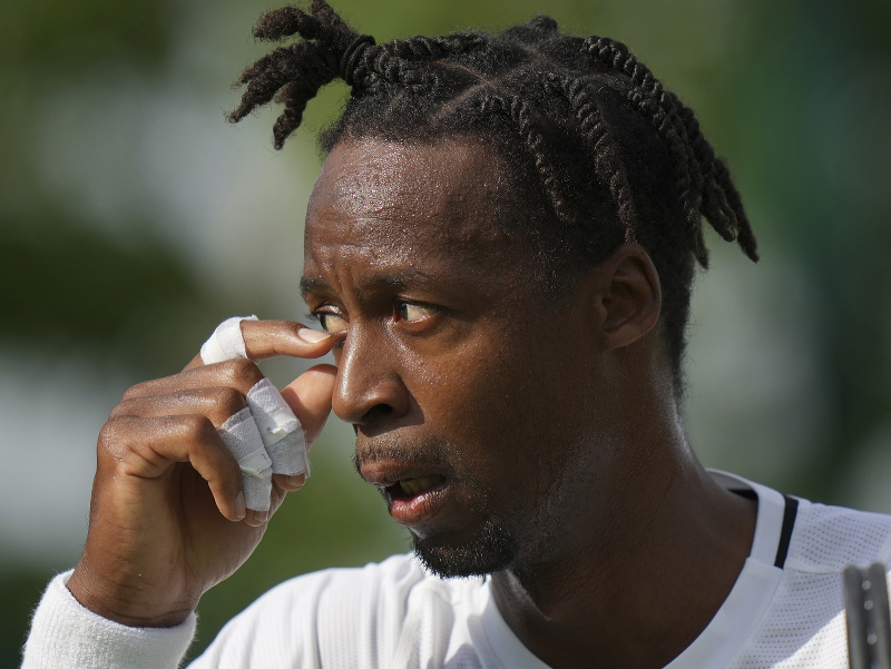 Francúzsky tenista Gael Monfils