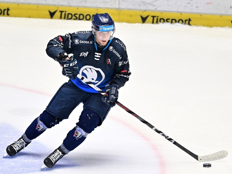 Slovenský hokejista Adrián Holešinský
