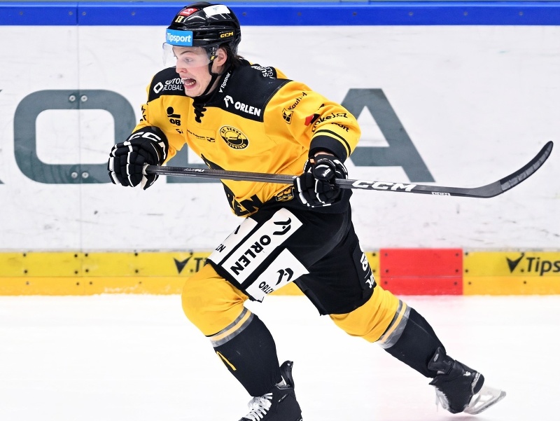 Slovenský hokejový obranca František Gajdoš