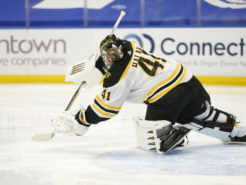 Jaroslav Halák v bránke Bruins