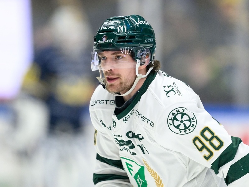 Slovenský hokejista Marián Studenič