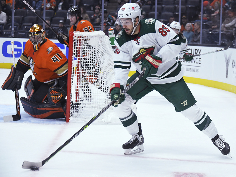 Anthony Stolar v bránke Ducks a Frederick Gaudreau v drese Minnesota Wild