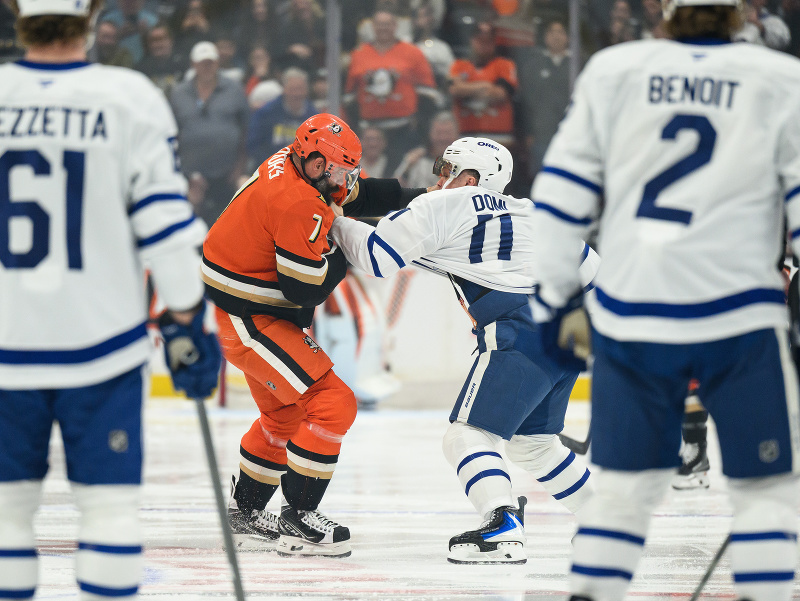 Radko Gudas a Max Domi v pästnom súboji