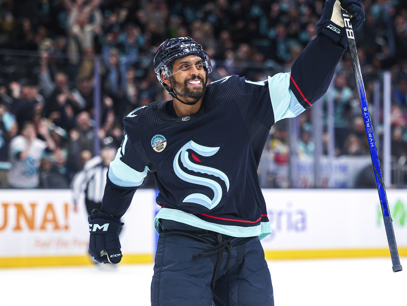 Francúzsky hokejista Pierre-Édouard Bellemare