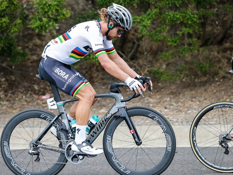 Peter Sagan