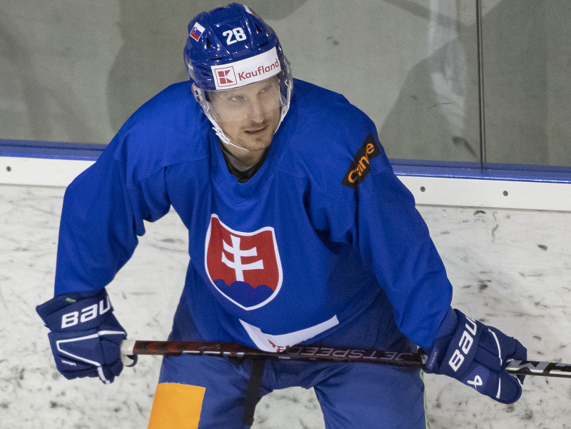 Richard Pánik počas tréningu slovenskej hokejovej reprezentácie v Bratislave