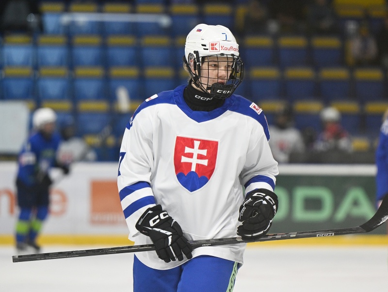 Hokejistka Slovenska Nela Lopušanová reaguje počas zápasu