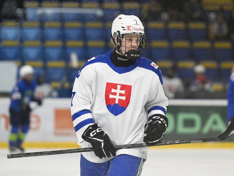 Hokejistka Slovenska Nela Lopušanová reaguje počas zápasu