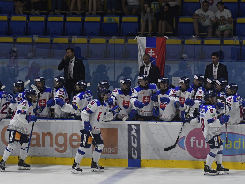 Na snímke striedačka slovenskej hokejovej reprezentácie