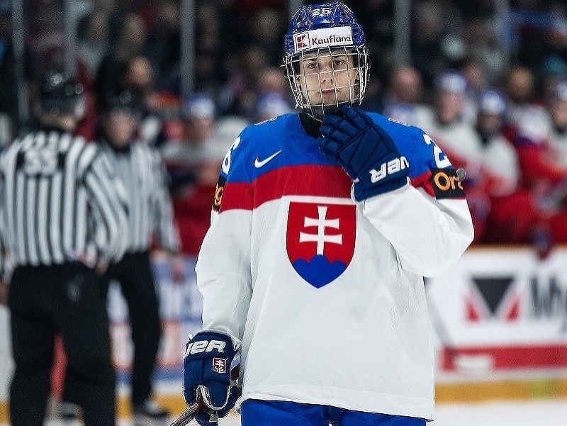 Slovenský hokejista Luka Radivojevič