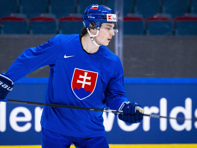 Na snímke slovenský hokejista Dalibor Dvorský počas tréningu