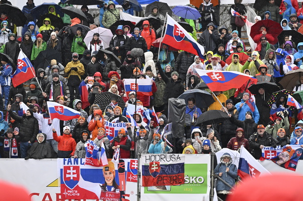 Slovenskí  fanúšikovia povzbudzujú