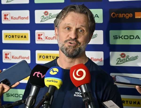 Asistent trénera slovenskej hokejovej