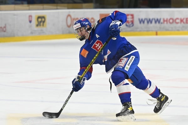 Pictured is a Slovak player