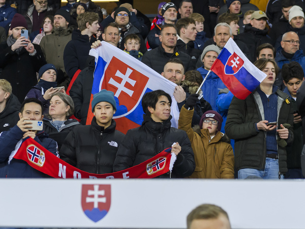 Fanúšikovia počas zápasu Slovenska